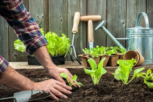 Close-up of garden tools near a fence representing Gardening Southgate