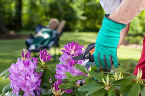 Compliance checklist and safety equipment for landscaping work