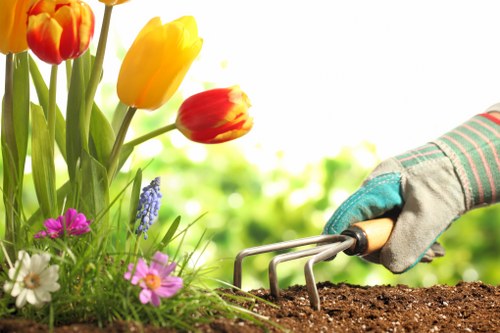 Sustainable landscaping practices in Southgate